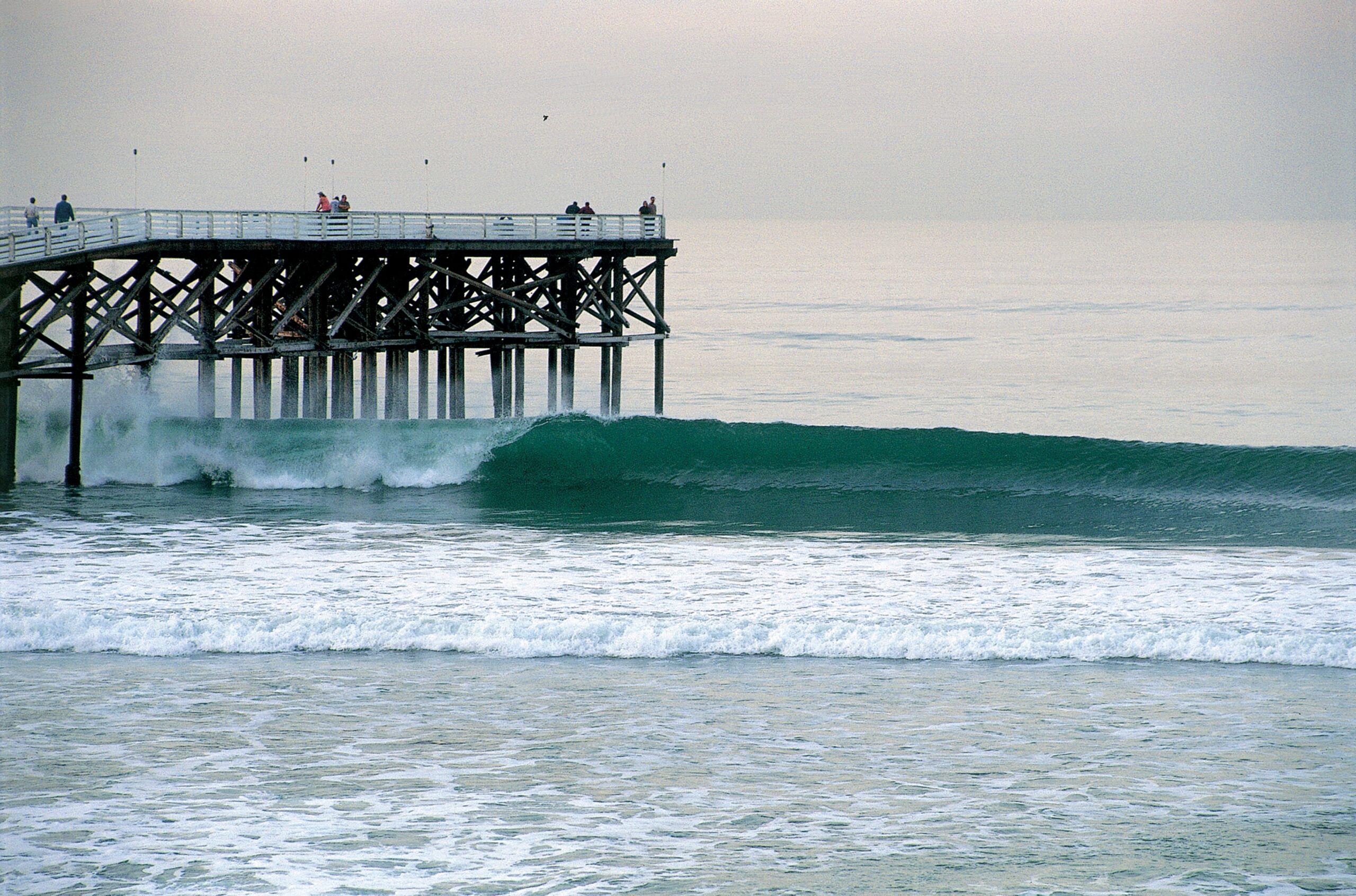 Surf Guide to Pacific Beach: Catch Your First Wave in San Diego’s Classic Beach Town